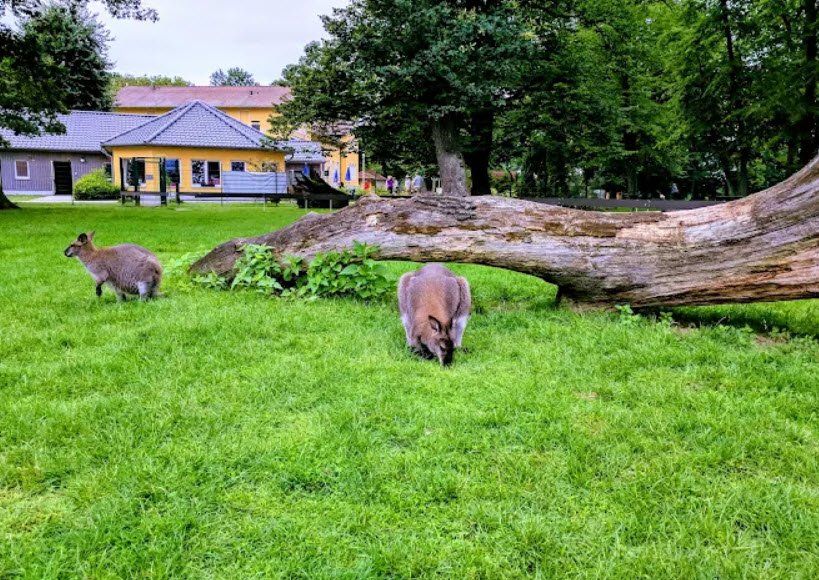 Zabakuck Zoo, Germany